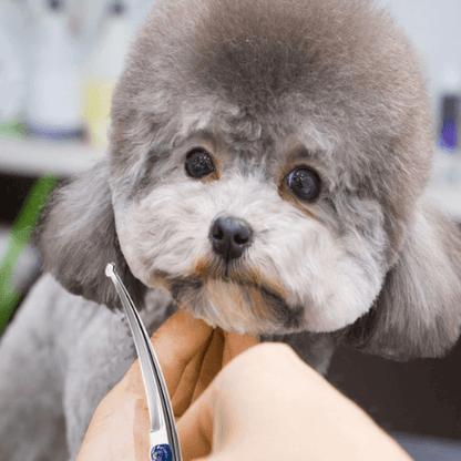 FurrKidz™ GentleTrim Scissors