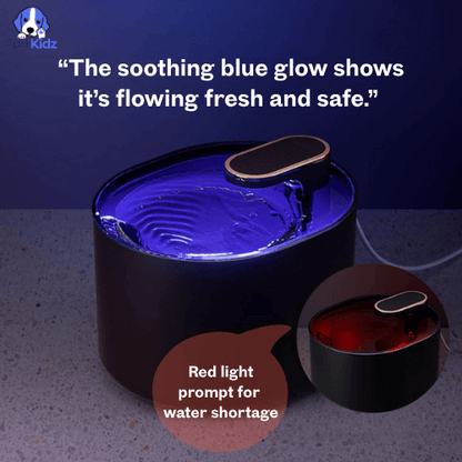 FurrKidz™ AquaPet Automatic Water Dispenser