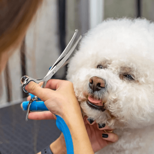 FurrKidz™ GentleTrim Scissors
