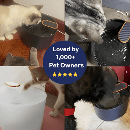 FurrKidz™ AquaPet Automatic Water Dispenser