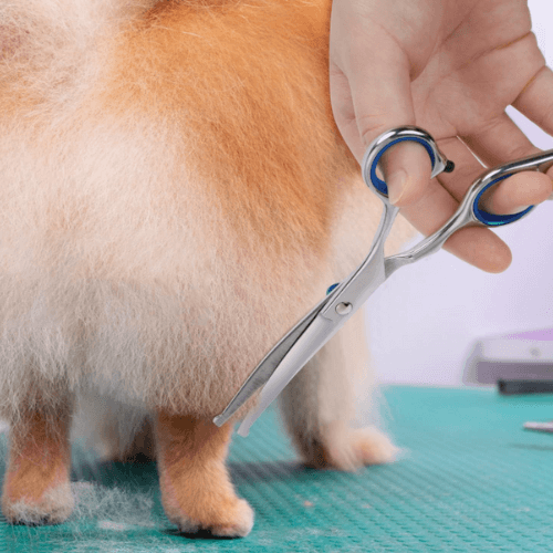 FurrKidz™ GentleTrim Scissors