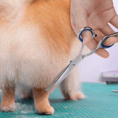 FurrKidz™ GentleTrim Scissors