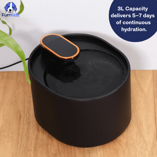 FurrKidz™ AquaPet Automatic Water Dispenser