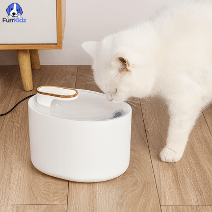 FurrKidz™ AquaPet Automatic Water Dispenser
