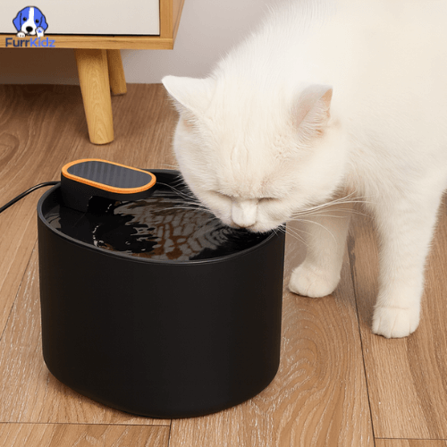 FurrKidz™ AquaPet Automatic Water Dispenser